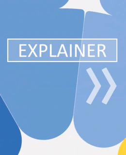 Explainer grafik vertical